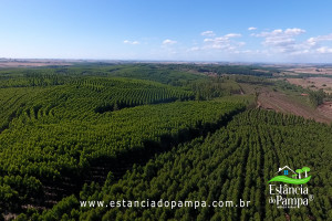 ALTO 360.00_04_07_01.Quadro011_460747de64148d95f3b8c08881bb1417511397eb.jpg